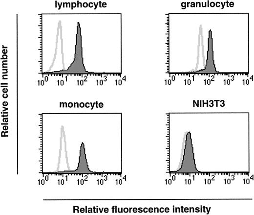 Fig. 5. Flow-cytometric analysis on single-cell populations from bone marrow of 6-week-old female mice. Cell populations were gated according to cell-size distribution and are indicated on the top of each plot. Histograms in each plot represent the fluorescence intensity of cells treated with (filled area) or without (solid line) anti-Ship antibody. Each plot is representative of 3 independent experiments.