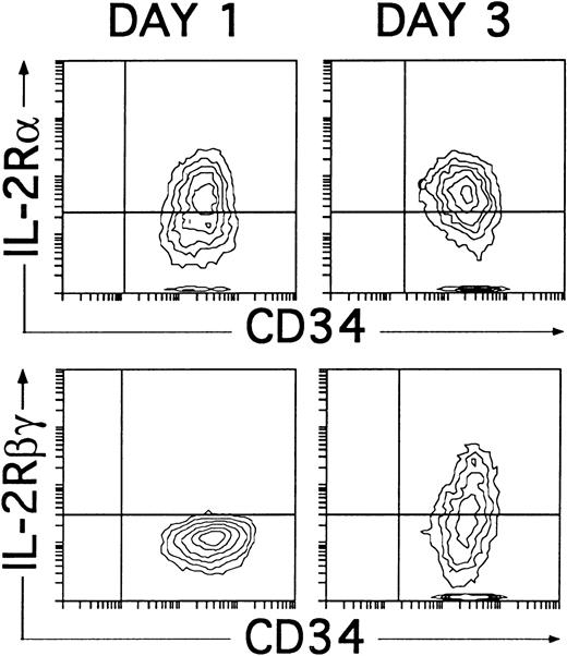 Fig. 8. Induction of CD25 (IL-2Rα) and CD122 (IL-2Rβγ) expression on cultured CD34+CD33lothymocytes. CD34+CD33lo thymocytes cultured for 1 or 3 days with IL-7, IL-1α, IL-6, SCF, and GM-CSF were analyzed for the correlated expression of CD34 and CD25 or CD34 and CD122. Background fluorescence was determined by sequential staining with isotype-matched irrelevant MoAbs, FITC-conjugated goat antimouse Igs, and PE-Cy5-conjugated isotype-matched irrelevant MoAbs.