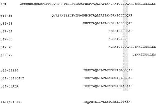 Fig. 1. Amino acid sequences of human PF4 and peptides tested for inhibitory activity on the formation of CFU-MK, CFU-GM, and BFU-E from total cells of bone marrow and purified CD34+ bone marrow cells.