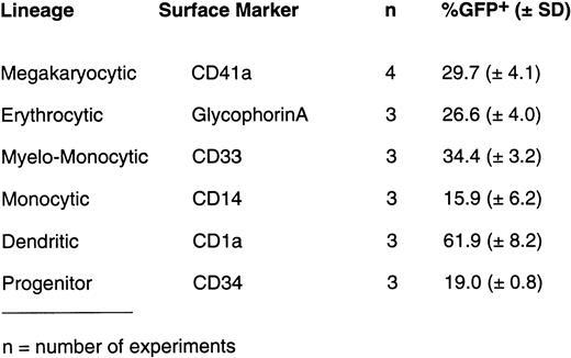 Fig. 1. (A) Expression of GFP by various hematopoietic precursor cells following infection with AdGFP. Human CD34+ cells were expanded in liquid culture in the presence of various cytokine cocktails for 10 days to generate lineage-committed precursor cells. Infection with AdGFP (100 MOI for 12 hours) was performed in serum-free medium. Seventy-two hours after infection, cells were stained with lineage-specific monoclonal antibody and evaluated for GFP expression by the respective differentiation lineage using two-color flow cytometry. Based on two-color dot-plot analysis, 73% of megakaryocytic (CD41a+) precursor (A), 78% of more mature megakaryocyte (CD42b+) (B), 32% of monocytic precursor (CD14+) (C), 14% of myeloid precursor cells (CD15+) (D), 85% of dendritic (CD1a+) (E) cells, and 41% of RBC precursors (glycophorin A+) (F) coexpressed GFP. (B) On average (n = 3 to 4), infection with 50 MOI of AdGFP resulted in GFP expression of 61.9% ± 8.2% of dendritic cells (CD1a+) generated with KL, GM-CSF, and TNF-α; 29.7% ± 4.1% of megakaryocytic cells (CD41a+) generated with TPO, KL, and IL-6; 15.9% ± 6.2% of monocytic cells (CD14+) obtained with GM-CSF, KL, and IL-3; and 26.6% ± 4.0% of glycophorin A+ RBC precursors obtained with KL and EPO.