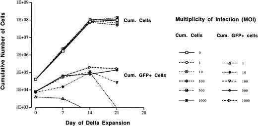 Fig. 6. Sequential dilution expansion (Delta assay) of AdGFP-infected CD34+ cells in the presence of IL-3, IL-6, G-CSF, KL, and EPO. Increasing concentrations of AdGFP (MOI of 0 to 1,000) used for infection of CD34+ cells before expansion did not impair the proliferative capacity of the cells. In all conditions, the cells cumulatively expanded by 3 log. The cumulative number of GFP-expressing progeny derived from AdGFP-infected CD34+ cells was measured throughout the expansion culture. If MOIs >100 were used for infection of CD34+cells, moderate expansion (1 log) of GFP+ progeny was observed. However, with lower MOIs (<100) used for infection, the number of GFP+ progeny did not proportionally increase during expansion.