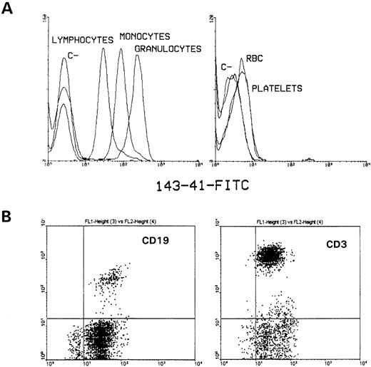 Fig. 1. Flow cytometric analysis of human hematopoietic cell lineages. Whole blood was stained with fluoresceinated-CD148 as described in Materials and Methods and analyzed on a FACScan flow cytometer. (A) Erythrocytes and platelets were analyzed after selecting cell populations by side scatter and forward size. In parallel, after washing, erythrocytes were lysed by incubating with lysis buffer and the different leukocyte populations were selected on basis of cell scatter and forward size characteristics. Histograms for fluorescence of simultaneously stained lymphocytes, monocytes, and granulocytes have been superimposed. (B) PBL were obtained from normal healthy donors by Ficoll-Hypaque gradient density centrifugation and lymphocyte populations were analyzed by two color fluorescence by using fluoresceinated 143-41 MoAb and comercially available PE-labeled CD3 and CD19 MoAb. The appropiate negative control FITC- and PE-labeled MoAbs were used to establish the marker position. The staining intensity of PE-labeled cells is shown in the vertical axis with 143-41–FITC staining on the horizontal axis.