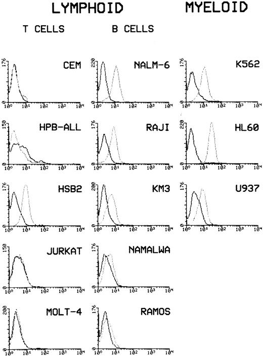 Fig. 2. Expression patterns of CD148 on different cell lines of myeloid and lymphoid origin. The 143-41 MoAb was assayed for their binding to cell lines by first incubating the cells with a saturating amount of antibody and, after washing, cells were incubated with a FITC-labeled goat antimouse antibody (—). Cells were also stained with a control isotype-matched antibody. The staining intensity of FITC-labeled cells is shown on the horizontal axis with the number of cells on the vertical axis.