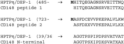 Fig. 4. Identity between CD148 N terminal and peptide sequence and deduced HPTP-h/DEP-1 protein sequence from the cDNA. Numbering of HPTP-η/DEP-1 amino acid positions are from Honda et al12and Östman et al.13 Assignment of X in the CD148 sequence represents nonidentifiable signal in the sequence analysis.