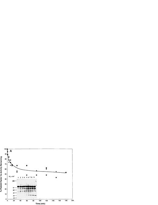 Fig. 2. APC-catalyzed inactivation of platelet-derived factor Va and factor VaLeiden bound to thrombin-activated platelets. Platelets (1 × 109/mL) in the presence of RGDS peptide (1 mmol/L) from normal (A; n = 3) and factor VLeidenindividuals (B; n = 3) were treated with 5 NIH U/mL (50 nmol/L) of α-thrombin for 5 minutes. Hirudin (60 nmol/L) was then added to inhibit thrombin. The resulting thrombin-activated platelets were then used as the required membrane surface for the APC-catalyzed inactivation of platelet-derived factor Va. APC (0.25 nmol/L) was added and residual cofactor activity and proteolytic fragments derived from APC-catalyzed inactivation were monitored as described in Fig 1. The line drawn through the inactivation profiles (A and B) represents the average of the three donors at each given time point and does not represent an attempt to fit the data to a first-order rate equation. The data points were normalized to the initial concentration of released cofactor for each donor. In (A), each of the symbols represents the time-dependent, APC-catalyzed inactivation of the platelet-derived factor Va cofactor activity from three normal donors (initial cofactor concentrations: 1.40, 1.90, and 2.30 nmol/L). The inset represents the proteolytic fragments derived from the inactivation on thrombin-activated platelets. Lane 1, platelet-derived factor Va, no APC; lanes 2 through 9, platelet-bound platelet-derived factor Va with APC for 1, 5, 10, 15, 30, 90, 120, and 180 minutes. In (B), each of the symbols represents the platelet-derived factor VaLeiden cofactor activity from three factor VLeiden donors (initial cofactor concentrations: 0.91, 0.93, and 1.40 nmol/L). The inset represents the proteolytic fragments derived from the inactivation on thrombin-activated platelets. Lane 1, platelet-derived factor VaLeiden, no APC; lanes 2 through 10, platelet-bound platelet-derived factor VaLeiden with APC for, 1, 5, 10, 15, 30, 90, 120, 150, and 180 minutes. The position of the molecular weight markers are indicated at the left of the insets.