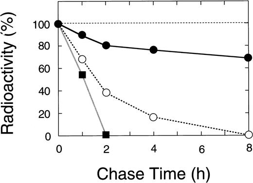 Fig. 8. Time course of the radiolabeled bands for wild-type and mutant A subunits in pulse-chase study. The radioactivity of the band for the recombinant A subunit was measured by a fluoroimage analyzer as described in Materials and Methods. (•) Wild-type, (▪) the 4-bp deletion (ie, C-terminal truncation), and (○) the Gly562-Arg mutation.