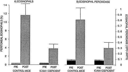 Fig. 2. Comparison of eosinophil recruitment and EPO levels in ICAM-1–deficient and wild-type mice. Ragweed-sensitized mice (ICAM-1–deficient or control wild-type mice; n = 10 mice; 3 separate experiments) were challenged with an intraperitoneal injection of ragweed allergen. Forty-eight hours later, the percentage of transmigrated peritoneal eosinophils (A) and EPO levels (B) were assessed. ICAM-1–deficient mice developed significantly less peritoneal eosinophilia (P = .03) and lower EPO levels (P = .05) compared with control wild-type mice after allergen.