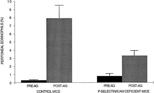 Fig. 4. Evaluation of eosinophil recruitment in P-selectin/ICAM-1–deficient double-mutant mice. Ragweed-sensitized mice (P-selectin/ICAM-1–deficient or control wild-type mice) were challenged with an intraperitoneal injection of ragweed. Forty-eight hours later, the percentage of transmigrated peritoneal eosinophils was assessed by light microscopy. P-selectin/ICAM-1–deficient double-mutant mice developed significantly less peritoneal eosinophilia compared with control wild-type mice after allergen (P = .01).