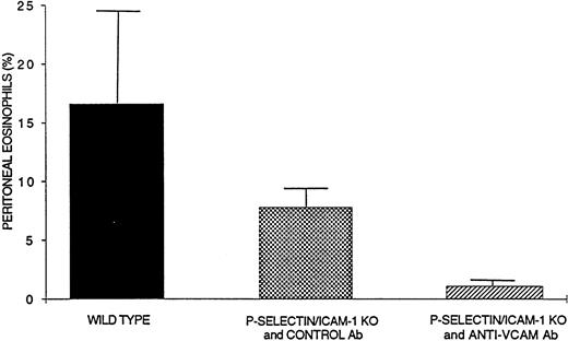Fig. 5. Inhibition of eosinophil recruitment in P-selectin/ICAM-1–deficient double-mutant mice treated with an anti-VCAM antibody. Ragweed-sensitized P-selectin/ICAM-1–deficient mice were pretreated with either a rat IgG1 antimouse VCAM MoAb or a species- and isotype-matched control antibody. Two hours after the antibody was administered intravenously, the mice were challenged by the intraperitoneal injection of allergen and the number of peritoneal eosinophils enumerated 48 hours later.