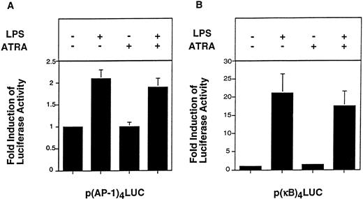 Fig. 7. Effect of ATRA on LPS-induced AP-1– and NF-κB–dependent transcription in THP-1 cells. THP-1 cells were transfected with p(AP-1)4LUC or p(κB)4LUC (6 μg) using DEAE-dextran. After 46 hours, cells were divided into four equal portions and incubated with or without LPS (10 μg/mL) for 5 hours in the presence or absence of a 30-minute pretreatment with ATRA (1 × 10−5 mol/L). AP-1–mediated transcription (A) and c-Rel/p65–mediated transcription (B) are shown. Luciferase activity (light units) expressed by p(AP-1)4LUC and p(κB)4LUC was used to determine fold inductions (mean ± SE) in three independent experiments.