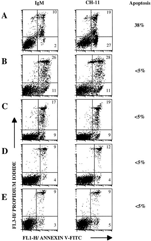 Fig. 4. Lymphoma B cells are resistant to CD95-mediated apoptosis in an assay detecting early stages of apoptosis. Flow cytometric analysis of Jurkat cells (A), nontumoral B cells (B; Donor NT-1), and lymphoma B cells (C through E). Lymphoma B cells were obtained from MCL-4 (C), FL-3 (D), DLCL-3 (E). Cells were incubated with 1 μg/mL anti-CD95 MoAb CH-11 or with IgM control MoAb for 4 hours (A) or 18 hours (B through E) and then double-stained wirth annexin V-FITC/PI and analyzed by flow cytometry. Numbers within dot plots represent the percentages of cells in early apoptosis (lower right, annexin V+/PI-) and in late apoptosis or in necrosis (upper right, annexin V±/PI+). The specific apoptosis, that is the percentage of viable cells undergoing apoptosis with the inducing agent, was calculated according to the following formula: ((DCH-11 − DIgM)/100 − DIgM) ×100, where D represents the percentage of cells dying during the culture by apoptosis or necrosis.