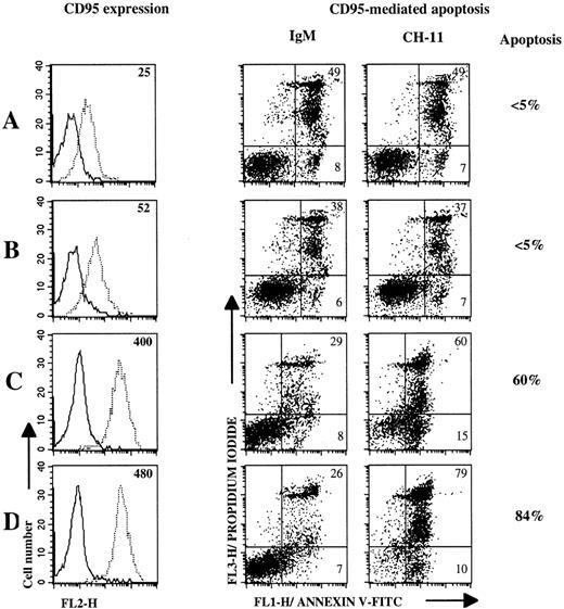 Fig. 6. CD40 ligation and CD40 ligation plus IL-4 upregulate CD95 expression on nontumoral B cells and induce CD95-based apoptosis. CD95 expression and apoptosis induction were measured on 3-day cultured B cells (Donor NT-1) in mediun alone (A), or with IL-4 (B), CD40Lig-L cells (C) and IL-4 plus CD40Lig-L cells. CD95 expression was analyzed by flow cytometry after staining with anti-CD95 MoAb CH-11 (dashed line) or with IgM control MoAb (solid line) followed by PE-conjugated antimouse IgM. Numbers within histogram plots represent MFI values. For CD95-mediated apoptosis experiments, cultured cells were incubated with 1 μg/mL anti-CD95 MoAb CH-11 or with IgM control MoAb for 18 hours and then double-stained with annexin V-FITC/PI and analyzed by flow cytometry. Numbers within dot plots represent the percentages of cells in early apoptosis (lower right, annexin V+/PI-) and in late apoptosis or in necrosis (upper right, annexin V±/PI+). Percentages next to the dot plots indicate the specific apoptosis.