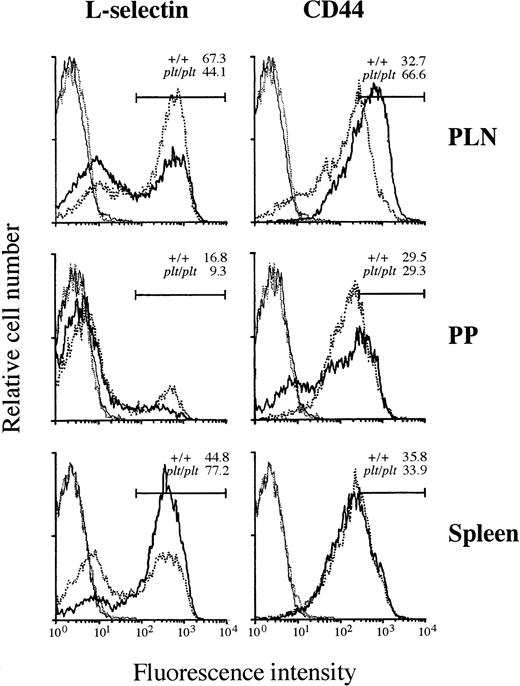 Fig. 5. Expression of L-selectin and CD44 on T-cell surface. Lymphocytes from LN, PP, and spleen of DDD/1-+/+ (dotted line) or DDD/1-plt/plt (solid line) were stained with FITC-conjugated H57-597 (anti-Cβ TCR) and biotinylated MEL-14 (anti–L-selectin) or KM201 (anti-CD44) MoAb followed by phycoerythrin-conjugated streptavidin (Becton Dickinson). The stained cells were analyzed in a FACScan (Becton Dickinson). T cells expressing TCR were gated and their expression of L-selectin or CD44 molecules (bold line) were analyzed. Cells stained only with FITC-conjugated H57-597 and phycoerythrin-conjugated streptavidin as a negative control (fine line) were also shown. Each line indicates the result as follows: bold dotted line: L-selectin or CD44 expression in +/+; bold solid line: L-selectin or CD44 expression in plt/plt; fine dotted line: negative control in +/+; fine solid line: negative control in plt/plt. The percentage of T cells expressing L-selectin or highly expressing CD44 in +/+ orplt/plt was indicated in the each panel. Reproducible results were obtained from three independent similar analyses.