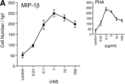 Fig. 1. (A) Migration of unfractionated thymocytes in response to MIP-1β (0.01 to 100 nmol/L), or PHA (0.01 to 100 μg/mL). Each point represents the mean ± SEM for migration from n = 4 experiments performed in duplicate. / (B) Migration of thymocytes from each purified subpopulation in response to MIP-1β. Antibody-labelled cells were sorted on the FACStar Plus cell sorter, as detailed in the Materials and Methods section. Sorted cells were collected from the populations delineated by the gates in the dot-plot. Cells were washed once in PBS, then used immediately for assay of migration. Each point represents the mean ± SEM migration from n = 3 experiments performed in duplicate.