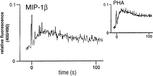 Fig. 2. MIP-1β–induced Ca2+ mobilization in unfractionated human thymocytes. Freshly-isolated cells were loaded with 3 mmol/L (final) Indo-1AM and kept in a constantly-stirred cuvette, as detailed in the Materials and Methods section. Stimulation was with 100 nmol/L recombinant human MIP-1β. The inset shows the flux profile obtained in response to 2 μg/mL PHA as a positive control. Flux profiles are representative examples taken from n = 6 experiments.