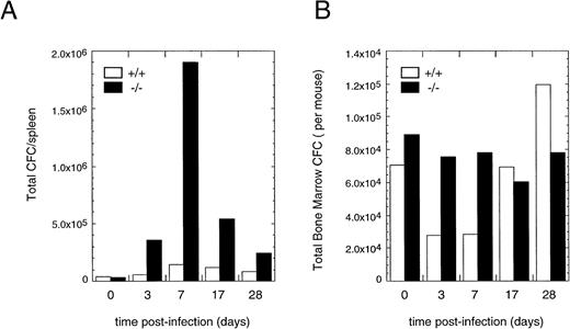 Fig. 5. Progenitor numbers in the spleen of infected mice. (A) Spleen CFC counts were performed at different times after infection from wild-type (□) or IFN-γ −/− mice (▪). Results are reported as total CFCs per spleen. The “0” time point is from naive mice. (B) Total bone marrow CFC in wild-type (□) or IFN-γ −/− mice (▪) from the same experiment shown in (A). Results are reported as the total CFCs recovered in the leg bones of each mouse. Each time point is an average of four to six mice per group. Results were similar in three independent experiments.