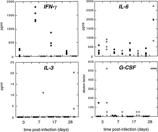 Fig. 7. Cytokine levels in the plasma of infected mice. Cytokines were measured from plasma samples as described in Materials and Methods. Closed symbols: IFN-γ +/+ mice, open diamonds: IFN-γ −/− mice. Values are given in pg/mL except for G-CSF levels, which are given in the lowest dilution (see basis for this assay in Materials and Methods). Data representative of multipe experiments. We consistently detect IL-6, but IL-3 and GM-CSF levels are commonly at the background level of the ELISA assay.