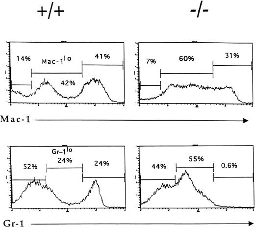 Fig. 3. Accumulation of phenotypically-immature myeloid cells in the bone marrow of IL-2−/− mice. Bone marrow cells from 6-week old wild-type (+/+) and IL-2−/− (−/−) littermates were stained with biotin-labeled Mac-1 or Gr-1 antibodies followed by SA-PE and analyzed by flow cytometry. Note the reduction in the size of the mature granulocytes (Gr-1hi) and myelomonocytic (Mac-1hi) cell populations in IL-2−/− mice. The level of staining obtained with isotype-matched control antibodies was used to determine the frequency of cells stained with Mac-1 and Gr-1 antibodies (% values shown in each histogram). The results shown are representative of eight independent experiments.