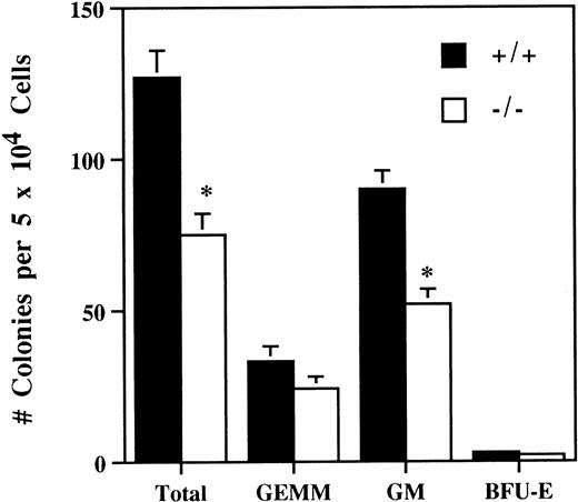 Fig. 4. Reduced hematopoietic progenitor cell activity in the bone marrow of IL-2−/− mice. Bone marrow mononuclear cells from 5-week old SPF wild-type (+/+) or IL-2−/− (−/−) mice were cultured in methylcellulose containing IL-3/GM-CSF/erythropoietin/stem cell factor for 11 days and the number of granulocyte/erythroid/myeloid/megakaryocytic (GEMM), granulocyte/macrophage (GM) and blast forming unit-erythroid (BFU-E) colonies counted. * P < .005 for comparison of IL-2−/− and IL-2+/+. The results shown were obtained from three independent experiments.