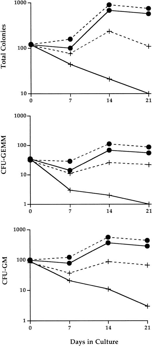 Fig. 6. Abnormal IL-2−/− bone marrow hematopoietic progenitor cell activity in LTBMC. Adherent stromal cell layers established from bone marrow cells of normal adult C57BL.6 mice were seeded at day 0 with 1.2 × 107 bone marrow cells from 3-week old SPF wild-type (•) or IL-2−/− (+) mice in the presence (dashed lines) or absence (solid lines) of 100 U/mL recombinant IL-2. At the times indicated, the cultures were 100% depopulated and the number and type of progenitor cells present identified by methylcellulose CFU assays as described in Materials and Methods. The results shown are representative of three independent experiments. CFU-GM, colony forming unit-granulocyte/macrophage; CFU-GEMM, colony forming unit-granulocyte/erythroid/myeloid/megakaryocyte.
