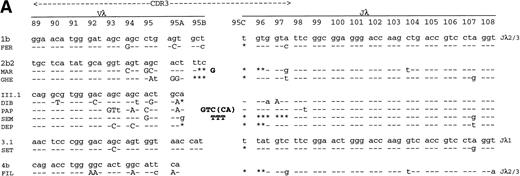 Fig. 1. Formation of amyloidogenic light chain CDR3. The most likely mechanism is reported. Sequences are compared with the closest VL and JL segments. (A) λ light chains; (B) κ light chains. R mutations, upper case letters; S mutations, lower case letters. Nontemplate coded nucleotides (N) are shown in bold; P nucleotides are in parentheses. *Nucleotides apparently removed at recombination.