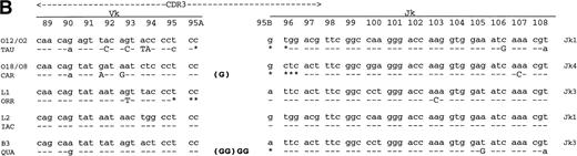 Fig. 1. Formation of amyloidogenic light chain CDR3. The most likely mechanism is reported. Sequences are compared with the closest VL and JL segments. (A) λ light chains; (B) κ light chains. R mutations, upper case letters; S mutations, lower case letters. Nontemplate coded nucleotides (N) are shown in bold; P nucleotides are in parentheses. *Nucleotides apparently removed at recombination.