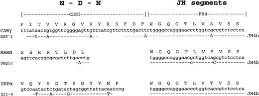Fig. 2. Formation of heavy chain CDR3 from amyloid clones. The most likely mechanism is shown. Sequences are compared with the closest DH and JH segments. R mutations, upper case letters; S mutations, lower case letters.