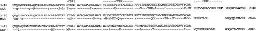 Fig. 4. Deduced amino acid sequences of the VH regions secreted by amyloid clones. Comparisons are made with the most homologous germline gene. R mutations, upper case letters; S mutations, lower case letters; R mutations in JH are shown in bold; S mutations are underlined.