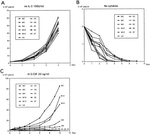 Fig. 3. Growth kinetics of WT1-infected 32D clones. Cells were cultured in 10% FBS-containing RPMI 1640 medium in the presence of IL-3 (50 U/mL; A), in complete deprivation of cytokines (B), or in the presence of G-CSF (rhG-CSF at 20 ng/mL; C), and viable cells were counted at the indicated time.
