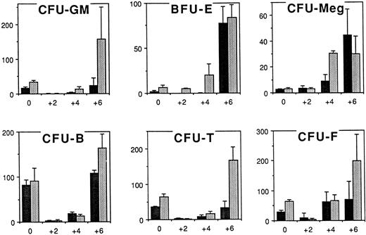 Fig. 7. Clonogenic activity of various hematopoietic progenitors and stromal cells in bone marrows of p53+/+ (black bars) and p53−/− (shadowed bars) mice analyzed on days 0, 2, 4, and 6 after 5-FU treatment. Results are mean (standard deviation) from three independent experiments. Y axis, number of colonies; X axis, days after 5-FU treatment.