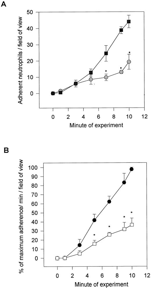 Fig. 3. Neutrophil adhesion in the presence of (top) a PAF receptor antagonist (WEB 2086; 20 μg/mL) or after (bottom) platelet monolayer treatment either with PAF-acetylhydrolase or the solvent (placebo). The placebo and acetylhydrolase group were compared with an untreated monolayer, and the data are presented as a percentage of adhesion relative to the 10-minute value for untreated platelet monolayers. *P < .05 relative to placebo value. (A) (◍) WEB 2086-treated neutrophils; (▧) untreated neutrophils. (B) (•) Placebo-treated monolayers; (□) PAF-acetylhydrolase–treated monolayers.