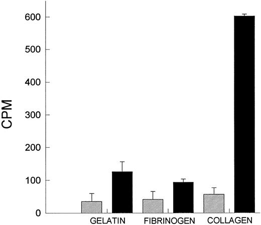 Fig. 4. PAF production by platelets. Platelets were layered on gelatin, fibrinogen, and collagen, and the amount of PAF produced was measured after 1 hour of incubation. Platelets were either incubated in buffer or with 2 mmol/L PMSF for 15 minutes at 37°C to degrade the endogenous acetyl hydrolase activity. (▨) Untreated platelets; (▪) PMSF-treated platelets.