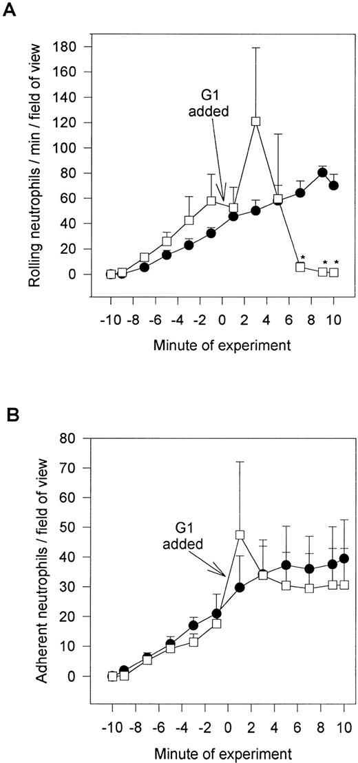 Fig. 8. G1 posttreatment of platelet monolayers. After 10 minutes of neutrophil-platelet interaction, the anti–P-selectin antibody (G1; 2 μg/mL) was administered, and neutrophil rolling (A) and neutrophil adhesion (B) were assessed. *P < .05 relative to time 0 value. (•) Untreated neutrophils; (□) G1 posttreated neutrophils.