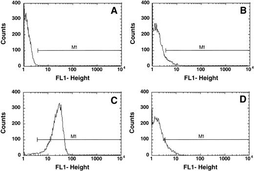 Fig. 1. Typical flow cytometric analysis of (A) normal RBCs and (B) thalassemic RBCs (HbE/β-thal (splx), incubated without AV-FITC; (C) normal RBCs incubated with 1 mmol/L calcium in the presence of 4 μmol/L ionophore A23187 labeled with AV-FITC, and (D) thal RBCs (HbE/β-thal (splx) labeled with AV-FITC. RBCs were selected by their light scattering properties and the number of cells with fluorescence above background was defined by gate M1.