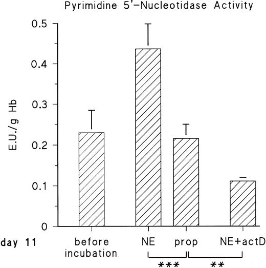 Fig. 3. Adrenergic stimulation of RBC P-5′-N activity. RBCs (cytokrit 4%) from day 11 were incubated for 16 hours at 37°C in the absence and presence of 10 μmol/L NE, 10 μmol/L propranolol (prop), and 35 μmol/L actinomycin D (actD). Data are given as the mean value and SD from five experiments in each case. (***P< .001, **P < .01).