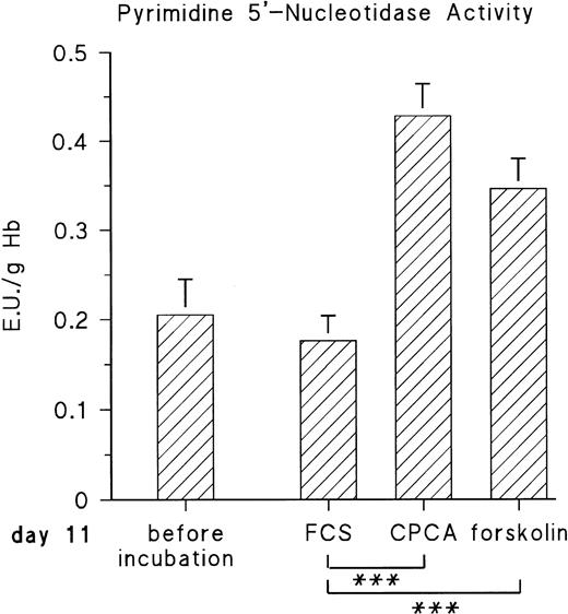 Fig. 4. Effect of adenosine A2-receptor activation and direct stimulation of adenylyl cyclase with forskolin on P-5′-N activity. RBC cells from day-11 chick embryos were incubated for 16 hours with either 10 μmol/L CPCA or 100 μmol/L forskolin, and P-5′-N activity was determined for control and stimulated samples at the end of the incubation period. Data are the mean values and SD from five experiments. The asterisk indicates statistically significant difference tested by the Student'st-test for paired samples (***P < .001).