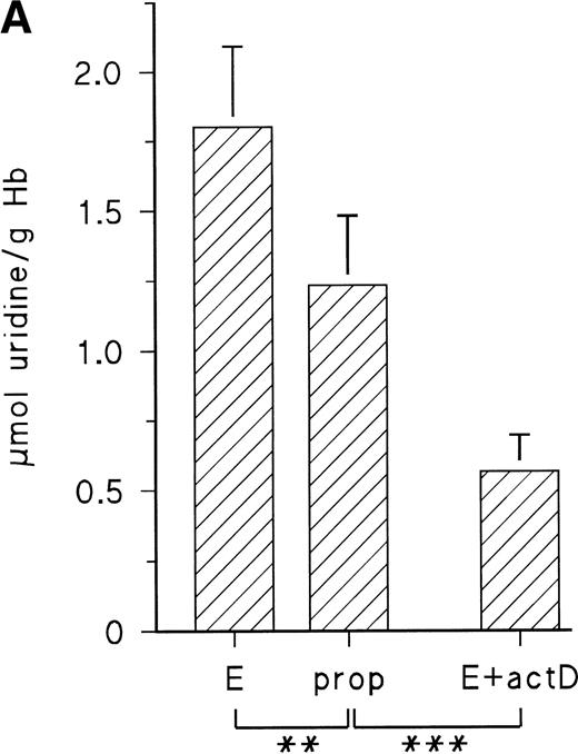 Fig. 5. (A) Uridine release from RBCs of day-11 chick embryos during 16 hours with 10 μmol/L E, 10 μmol/L propranolol (prop), and 35 μmol/L actinomycin D (actD). Incubation conditions were the same as in Fig 3. Data are given as the mean and SD from five experiments in each case (**P < .01; ***P < .001). (B) Changes of RBC UTP concentration during in vitro incubation with E, propranolol (prop), and actD. Agonist concentrations and incubation conditions as in (A). Data are the mean values and SD from three experiments in each case (*P < .05; n.s., not significant; P = .055).