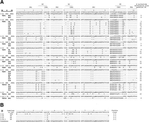 Fig. 2. (A) Alignment of anti-Rh(D) heavy chains to their nearest germline V, D, and J genes. Also shown are the putative intermediate heavy chain sequences (Ca, Cb, Da, Db, and Dc; see text and Fig 3). The number of nucleotide differences from a germline VH is tabulated to the right of each sequence. In general, D segments showed poor homology with known D genes, so mutations were not scored in these regions. Key: Replacement mutations indicated with letters, silent mutations as “*”, identities as “.”, and insertions as “-”. Sequences derived from the 5′ VH primers used in library construction22 are marked as “>”. CDR region designations are determined as per Kabat59; numbering and H region designations per Chothia et al.31(B) Alignment of the four VH3 genes used by anti-Rh(D) heavy chains and (C) dendrogram of all human VH3 family germline genes shows relatedness of VH3-21, VH3-30, VH3-33, and VH3-30.3 and the surprising restriction in VH gene usage. Note that the VH3-30.5 gene is present in only certain haplotypes and is identical to VH3-30.60Genbank accession numbers for anti-Rh(D) heavy chains are listed in the Appendix.