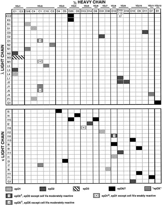 Fig. 8. Matrix illustrating the genetic composition and epitope specificity of anti-Rh(D) antibodies. The horizontal axis represents the unique γ1 heavy chains and the vertical axis represents the unique λ and κ light chains (based on amino acid sequence). A shaded pattern at the intersection of a heavy chain/light chain pair indicates the Rh(D) epitope specificity observed for that Fab/phage antibody. A few clones gave mixed patterns of reactivity, as shown (see text). The order of heavy chains (left to right) and light chains (top to bottom) was determined by the multiple alignment of amino acid sequences as in Figs 2, 4, and 5. Note that heavy chains D1, D15, D16, and D17, although differing in nucleotide sequence, have the identical amino acid sequences and thus comprise a single column. Similarly, heavy chains C5 and C8 and λ light chains K1 and K2 encode the same proteins. The pairings of these 28 heavy and 41 light chain nucleotide gene segments, which produced 53 unique Fab transcripts, encoded 43 different Fab proteins, as indicated in the matrix.