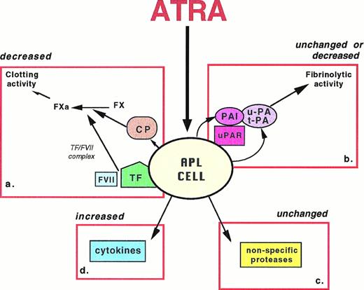 Fig. 2. Schematics of the principal pathways of APL cell interactions with the hemostatic system, which can be affected by ATRA. APL cell expresses: (a) cellular procoagulants (TF and CP) that activate the clotting cascade; ATRA decreases the expression of both TF and CP, thus reducing the procoagulant activity; (b) fibrinolysis proteins (u-PA, t-PA, PAI) and receptor (u-PAR); ATRA increases both plasminogen activators and inhibitors, resulting in unchanged or reduced fibrinolytic activity; (c) nonspecific proteases, including granule elastase, that proteolyze fibrinogen/fibrin and other coagulation factors; ATRA does not affect this cellular mechanism; and (d) cytokines, including IL-1β and TNF-α, that induce the endothelium thrombogenicity; ATRA increases the production of cytokines.