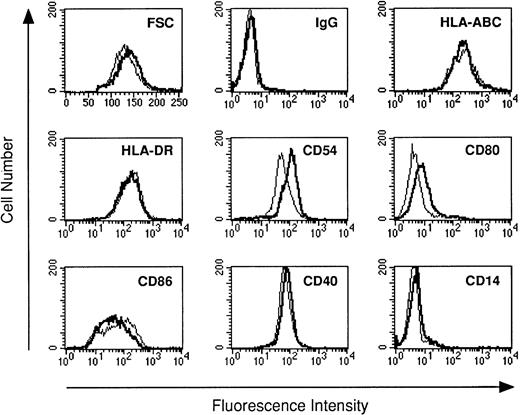 Fig. 1. The phenotype of DC generated with or without LPS. DC were cultured for 5 days in the absence (standard lines) or presence of LPS (bold lines). Day-5 DC were analyzed by flow cytometry for the surface expression of the antigens indicated using the antibodies listed in Materials and Methods. Cells were analyzed without scatter gating. In the first histogram, forward scatter (FSC, x-axis) is plotted against the number of events (y-axis).