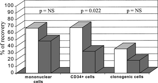 Fig. 1. Mononuclear cells, CD34+ cells, and clonogenic cells recovered after bone marrow purging. Bone marrow cells were incubated for 24 hours (□) (n = 3) or 72 hours (▧) (n = 5). The recovery of different cell fractions was calculated as the proportion of the pretreatment count.