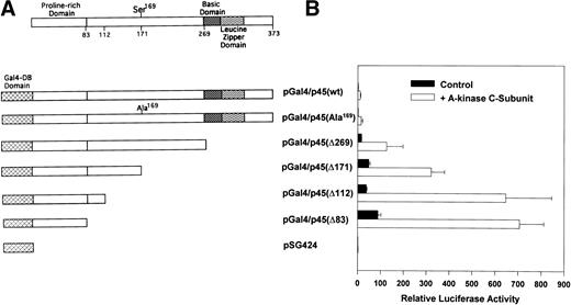Fig. 5. Transactivation properties of Gal4-fusion constructs containing truncated versions of p45: effect of A-kinase. The structure of p451 and the Gal4-fusion constructs containing variable amounts of N-terminal p45 sequences fused to the DNA binding domain of Gal4 are shown in (A); results of cotransfection experiments using these constructs in BHK cells are shown in (B). The indicated transactivator plasmid (5 ng) was cotransfected with the reporter pGAL4-Luc (100 ng), the control vector pRSV-βGal (50 ng), and either an expression vector for the C-subunit of A-kinase (pCMV-Cα, 50 ng, open bars) or empty vector (pRC/CMV, 50 ng, filled bars). Luciferase activity was normalized to β-galactosidase activity in each sample; the luciferase/β-galactosidase ratio obtained with the parent vector pSG424, which is lacking p45 sequences, was assigned a value of 1. Results represent the mean ± SD of three independent experiments.