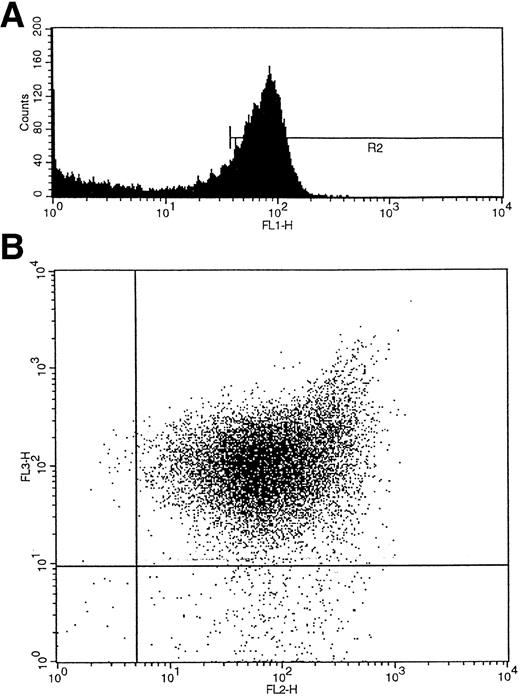 Fig. 2. (A) Initial gating of CD34+ cells by fluorescence (fl1) shown as R2. (B) Two additional fluorescence parameters, fl2 (CD38-PE) and fl3 (HLA-DR-tricolor), were used to analyze subpopulations of CD34+ cells that were CD38+DR+ and CD38−DR+.