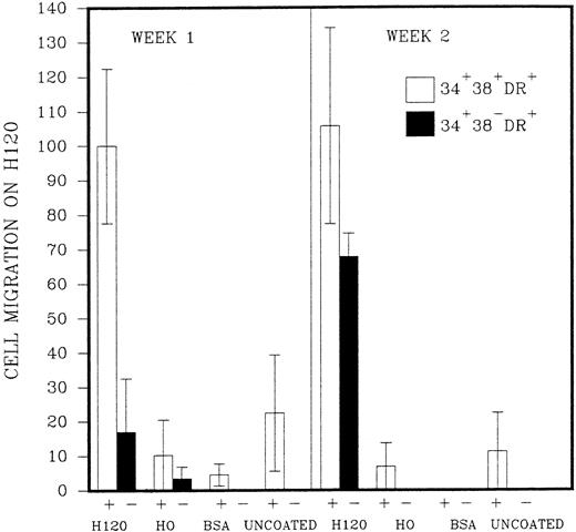Fig. 4. Single cells of CD34+38+DR+(represented as +) and CD34+38−DR+ (represented as −) phenotypes were deposited into single U-shaped wells into serum-free medium and standard growth factors. The wells had been precoated with H120, H0, or BSA or left uncoated. The figure shows the mean number of wells (n = 2,3, or 4) ± SD in which a migratory pattern was seen expressed as a percentage of the result with H120 at week 1 for the CD34+38+DR+ (+) phenotype. Migration was defined as movement of cells against gravity up and around the sides of the wells.