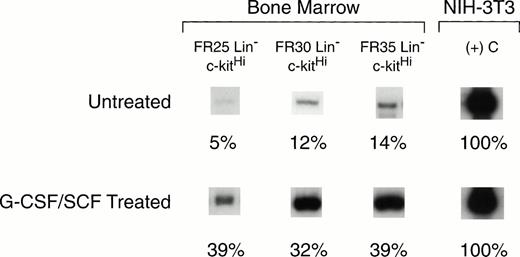 Fig. 5. RT-PCR analysis of amphotropic retrovirus receptor mRNA levels in BM hematopoietic stem cells from untreated mice (top panel), and from mice injected for 5 consecutive days with G-CSF and SCF (bottom panel). BM cells were collected from mice treated with G-CSF and SCF at 14 days after the last cytokine treatment. The cells were fractionated by CCE at flow rates of 25, 30, and 35 mL/min (FR25, FR30, FR35), and Lin− c-kitHI cells were isolated from each fraction by flow cytometry. The levels of amphotropic receptor mRNA were quantified based on the level of β2-microglobulin mRNA (not shown) in the same sample. These values were normalized to the level of amphotropic receptor mRNA in NIH-3T3 cells (right column) and compared with the mRNA level in unfractionated BM (see Table 3).