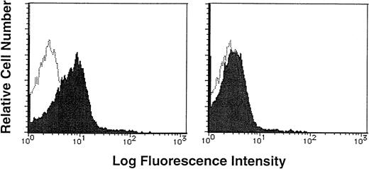 Fig. 2. Binding of soluble FN to human CD34+ cells. Purified CD34+ cells were incubated with biotin-labeled soluble FN in the presence (right panel, shaded histogram) or absence (left panel, shaded histogram) of a 20-fold excess of unlabeled FN, and then stained with FITC-conjugated avidin. The stained cells were analyzed by a single-color flow cytometry. The level of background staining with unlabeled FN and FITC-conjugated avidin (open histogram) is shown in each panel.