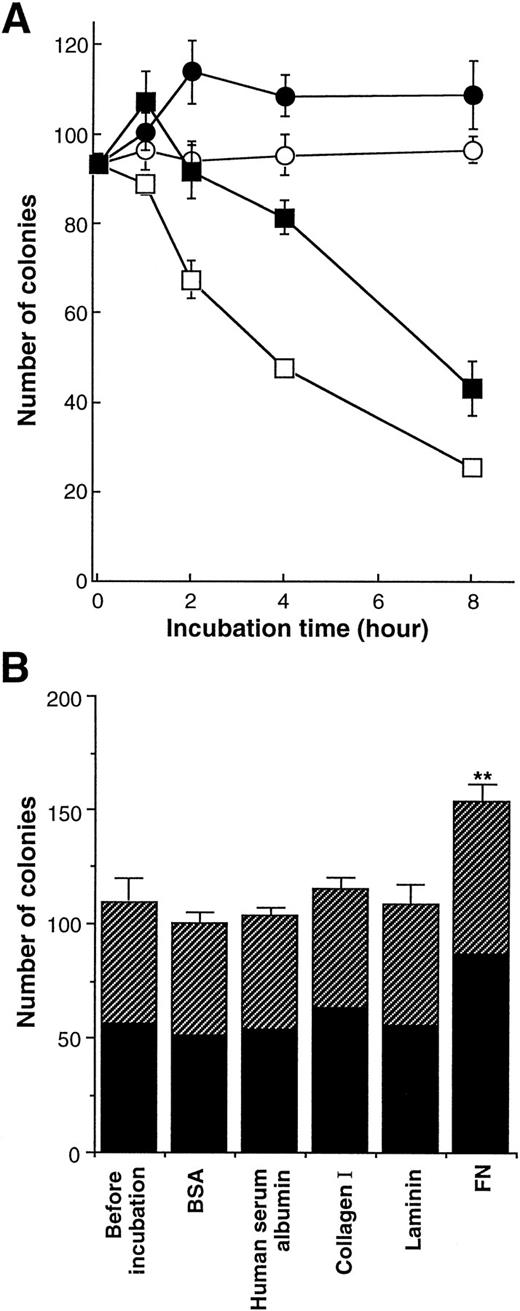 Fig. 3. Effect of FN on the clonogenic capacity of human hematopoietic progenitor cells. (A) The human CD34+ cells were incubated with 100 μg/mL of BSA (○, □) or FN (•, ▪) in IMDM (□, ▪) or in IMDM containing 200 μg/mL transferrin and 10 μg/mL insulin (○, •) at 37°C for the indicated periods. The preincubated cells (5.0 × 102) were subsequently cultured in methylcellulose media to assess their clonogenic growth. All of the results are shown as mean ± SD of triplicate cultures. (B) Human CD34+ cells were incubated with 100 μg/mL of BSA, human serum albumin, collagen type I, laminin, or FN in serum-free IMDM with no other proteins at 37°C for 1 hour and subsequently were cultured in methylcellulose media at 5.0 × 102/mL to assess their clonogenic growth. The data represent mean ± SD of triplicate cultures. Statistically significant difference from a control (before incubation) value is indicated by two (P < .01) asterisks. Similar results were obtained in three independent experiments. (▨), BFU-E; (▪), CFU-GM.