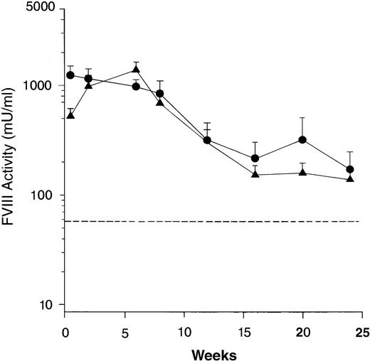 Fig. 2. Comparison of human FVIII expression in exon 16 and exon 17–disrupted hemophiliac mice. The adenoviral vector, Av3H8101 (6 × 1010 particles/mouse) was administered via tail vein injection to groups of 12 exon 16– or 11 exon 17–disrupted hemophiliac mice. At the indicated time points, plasma samples were collected and FVIII biological activity was quantitated. Mice that were expressing below less than 1% of normal FVIII levels (<25 mU/mL) were killed at 24 weeks. The FVIII levels in the remaining mice were assayed for an additional 16 weeks. (A) Mean plasma levels of biologically active FVIII. (•) Exon 16-disrupted mice. (▴) Exon 17–disrupted mice. Data are plotted as a mean value and the standard error of the mean at each time point. The dotted line represents the human therapeutic level of FVIII, 50 mU/mL.33