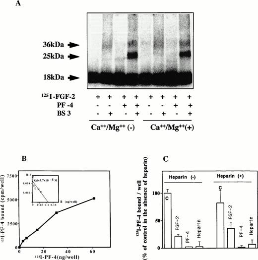 Fig. 6. (A through C) Complex formation of PF-4 with FGF-2. (A) Cross-linking experiments in solution. One microgram of PF-4 and 10 ng125I–FGF-2 were incubated in 400 μL PBS in the presence or absence of 0.8 mmol/L Ca++ and 0.5 mmol/L Mg++ for 1 hour. Subsequently, 1 mmol/L BS3was added for another 30 minutes. At the end of the incubation period, extraction buffer was added and aliquots were loaded onto a 12% SDS-PAGE. The dried gel was analyzed by PhosphorImager or autoradiography. (B) Binding of 125I–PF-4 to cell surface immobilized FGF-2. Fifteen nanograms per 50 microliters of FGF-2 was adsorbed onto the surface of a 96-well ELISA plate and incubated with different concentrations of 125I–PF-4. Binding was performed and analyzed as indicated in Materials and Methods. Scatchard plot is shown as inset. The figure depicts an representative experiment done in triplicates (data points as mean; SD values: 24 < SD < 780). (C) Competion of 125PF-4 binding to FGF-2. Wells were coated with FGF-2 at 15 ng/50 μL. Some of the wells were preincubated with 200 ng heparin. Plates were washed twice with buffer A to remove unbound heparin. Others wells received buffer alone. Ten nanograms125I-PF-4, with or without 5 μg PF-4, 5 μg FGF-2, or 50 ng heparin, was added to the wells. Binding was performed and analyzed as indicated in Materials and Methods. The figure depicts a representative experiment done in triplicates (data points as mean + SD). 100% corresponds to 7,000 cpm.